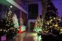 Christmas Tree Festival